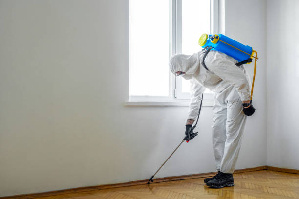 Best Commercial Pest Control  in Melrose, MA